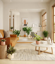 Load image into Gallery viewer, Evening Sky