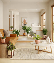 Load image into Gallery viewer, Evening Sky stand:four_stands