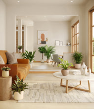 Load image into Gallery viewer, Sandy