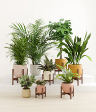 Load image into Gallery viewer, Evening Sky stand:six_stands