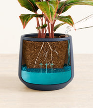 Load image into Gallery viewer, Deep Navy