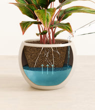 Load image into Gallery viewer, Shiny EggWhite