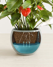 Load image into Gallery viewer, Deep Ocean