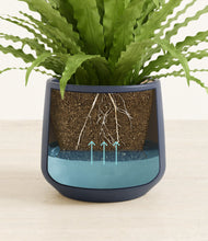 Load image into Gallery viewer, Deep Navy