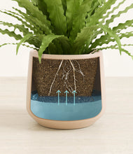 Load image into Gallery viewer, Gentle Pink