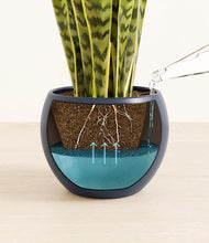 Load image into Gallery viewer, Deep Navy