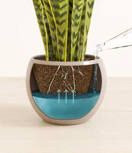 Load image into Gallery viewer, Desert Brown