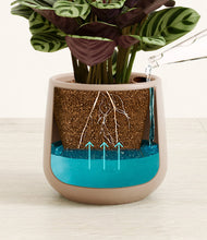 Load image into Gallery viewer, Eternal Gray