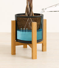 Load image into Gallery viewer, Black stand:light