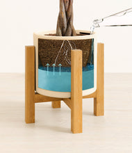 Load image into Gallery viewer, Cream stand:light