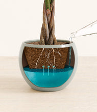 Load image into Gallery viewer, Deep Ocean