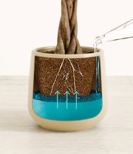 Load image into Gallery viewer, Almond Green