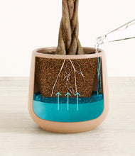 Load image into Gallery viewer, Gentle Pink