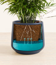 Load image into Gallery viewer, Deep Navy