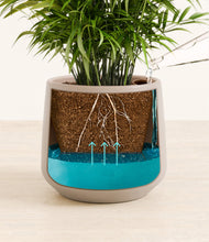 Load image into Gallery viewer, Eternal Gray