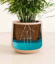 Load image into Gallery viewer, Gentle Pink