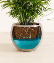 Load image into Gallery viewer, Desert Brown