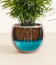 Load image into Gallery viewer, Winter Clouds