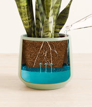 Load image into Gallery viewer, Turquoise