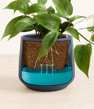 Load image into Gallery viewer, Deep Navy