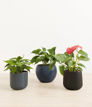 Load image into Gallery viewer, Eclipse*****Profile