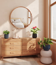 Load image into Gallery viewer, Eclipse