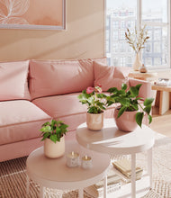 Load image into Gallery viewer, Desert Blush