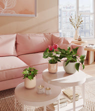 Load image into Gallery viewer, Desert Blush