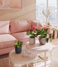 Load image into Gallery viewer, Driftwood