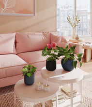 Load image into Gallery viewer, Eclipse