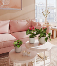 Load image into Gallery viewer, Frosted Dawn