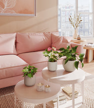 Load image into Gallery viewer, Frosted Dawn