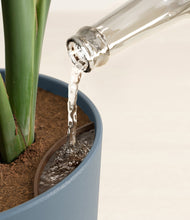 Load image into Gallery viewer, Aloe Vera stand:all