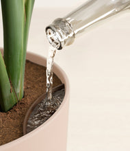 Load image into Gallery viewer, Olive Branch stand:all