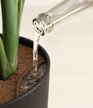 Load image into Gallery viewer, Stone Black stand:all