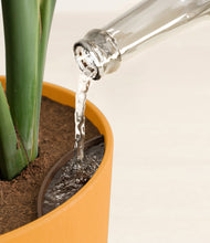 Load image into Gallery viewer, Tiger Lily stand:all