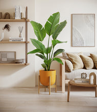 Load image into Gallery viewer, Sunset Orange stand:bamboo