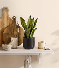 Load image into Gallery viewer, Stone Black