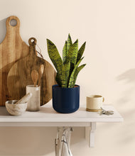 Load image into Gallery viewer, Twilight Blue