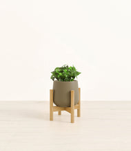 Load image into Gallery viewer, Olive stand:bamboo