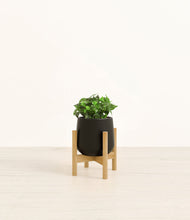 Load image into Gallery viewer, Black stand:bamboo