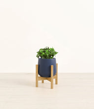 Load image into Gallery viewer, Deep Navy stand:bamboo