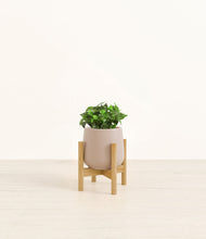 Load image into Gallery viewer, Eternal Gray stand:bamboo
