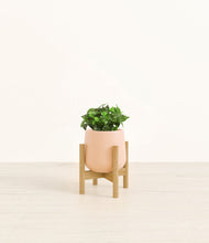 Load image into Gallery viewer, Gentle Pink stand:bamboo