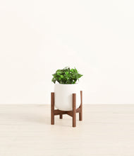 Load image into Gallery viewer, White stand:walnut