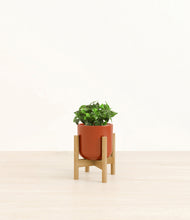 Load image into Gallery viewer, Glossy Red stand:bamboo