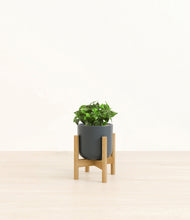 Load image into Gallery viewer, Iron Gray stand:bamboo