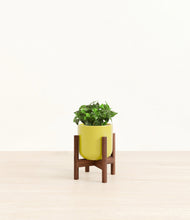 Load image into Gallery viewer, Key Lime Yellow stand:walnut