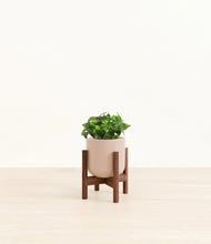 Load image into Gallery viewer, Sandy Pink stand:walnut
