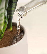 Load image into Gallery viewer, Sandy stand:all